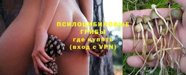 mdpv Белоозёрский