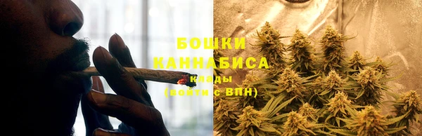 MESCALINE Белокуриха