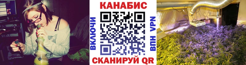 Конопля OG Kush  Шарья 